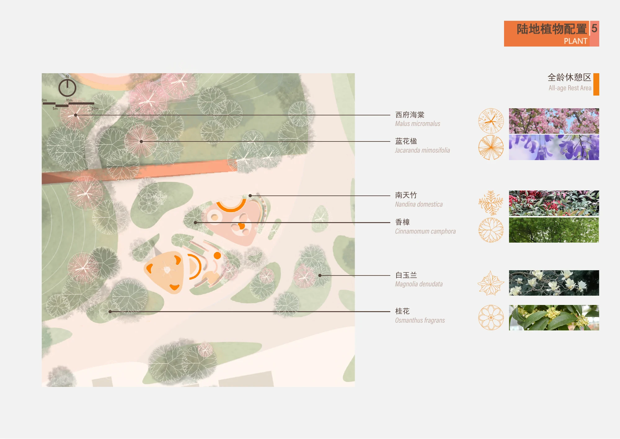 全龄休憩区植物，原图册第54页